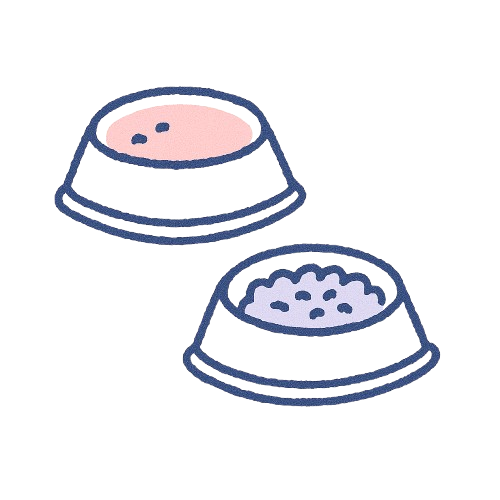 expert care illustration